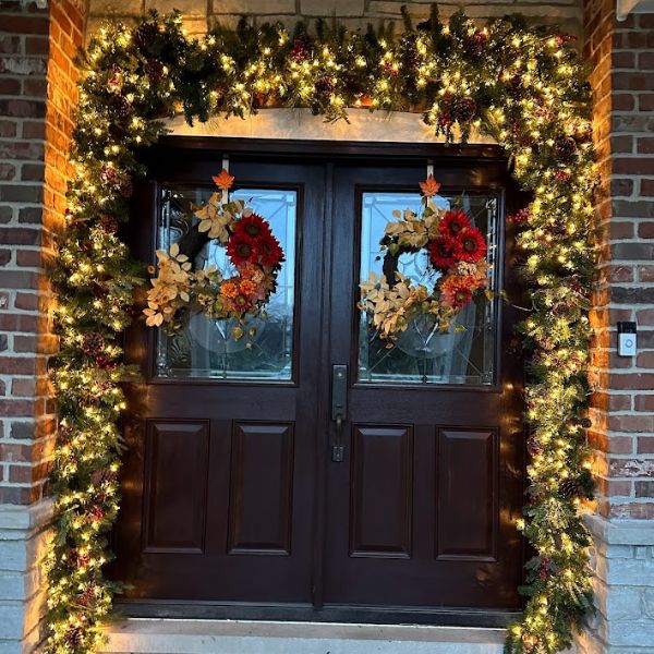 Evergreen tree wrapped in LED string lights at night, professional holiday lighting display