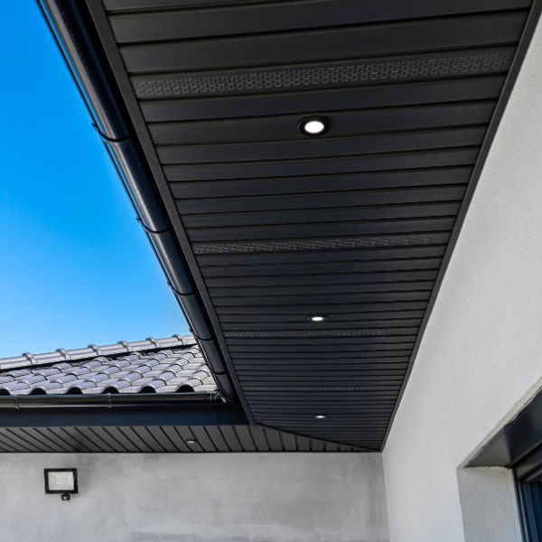 Close up on tree trunk and branches wrapped in LED holiday lights